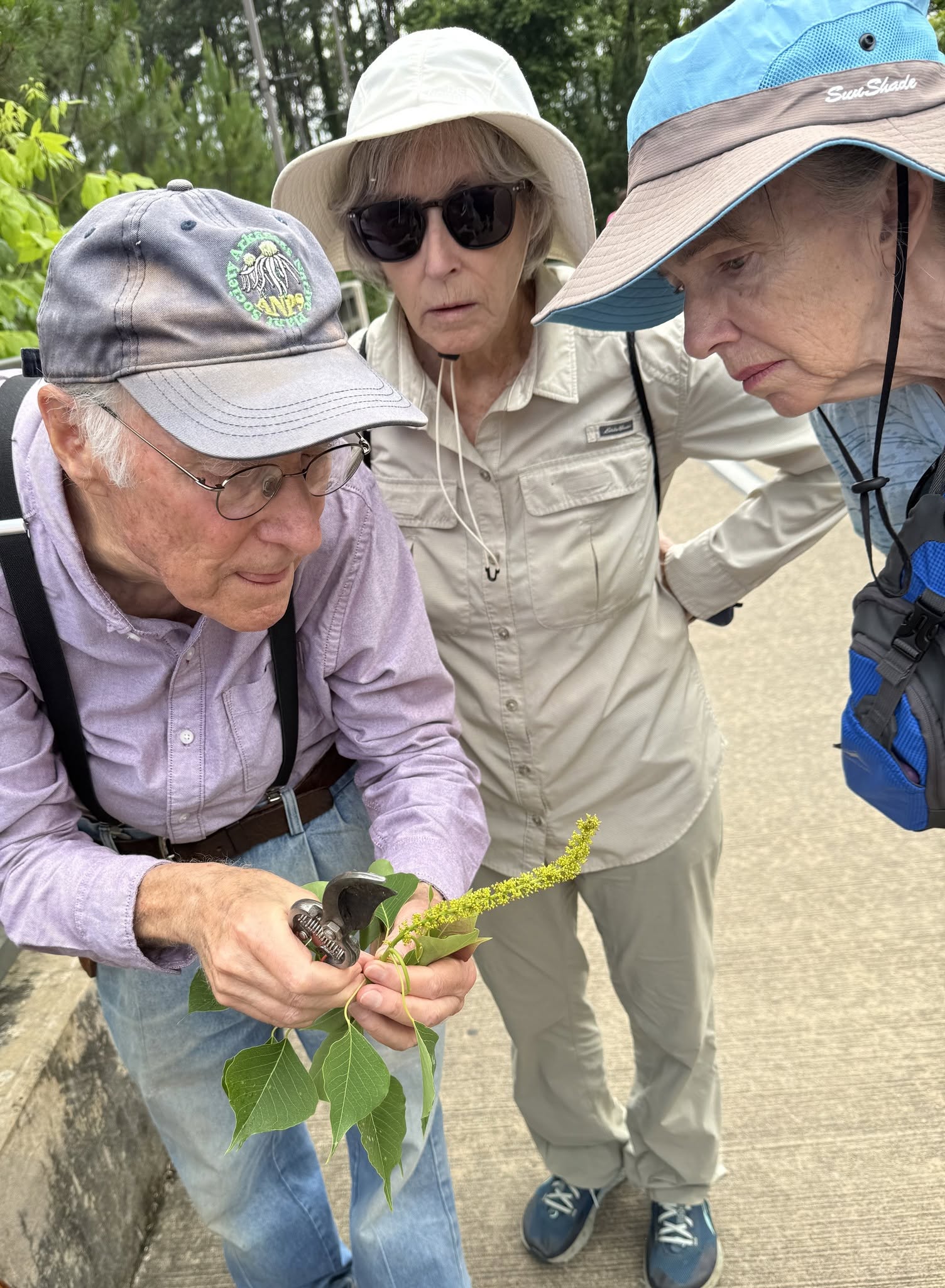Plant Prowl with Eric Sundell